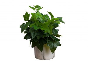 Potted Ivy Faux Plant